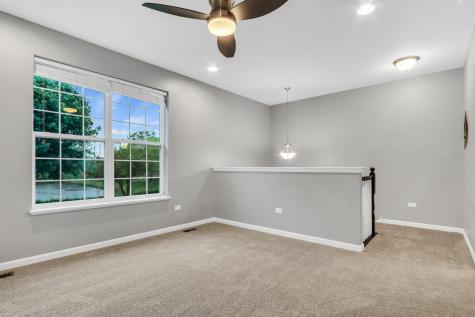 297 Lionel Drive Grayslake IL 60030