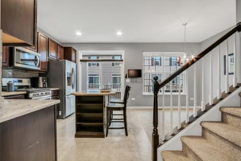297 Lionel Drive Grayslake IL 60030