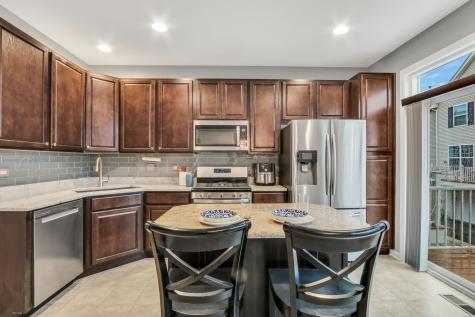 297 Lionel Drive Grayslake IL 60030