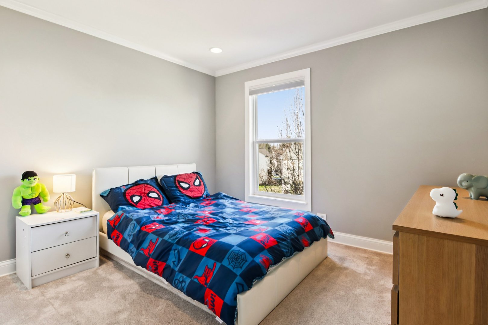2706 Hamman Way Aurora IL 60502