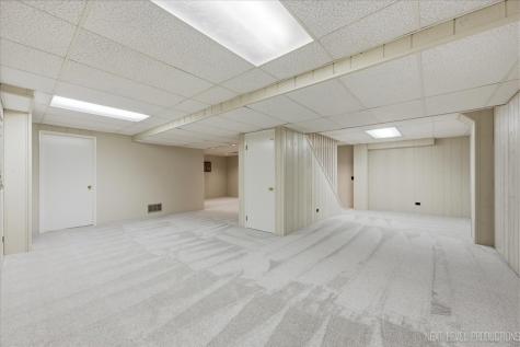 530 Olesen Drive Naperville IL 60540