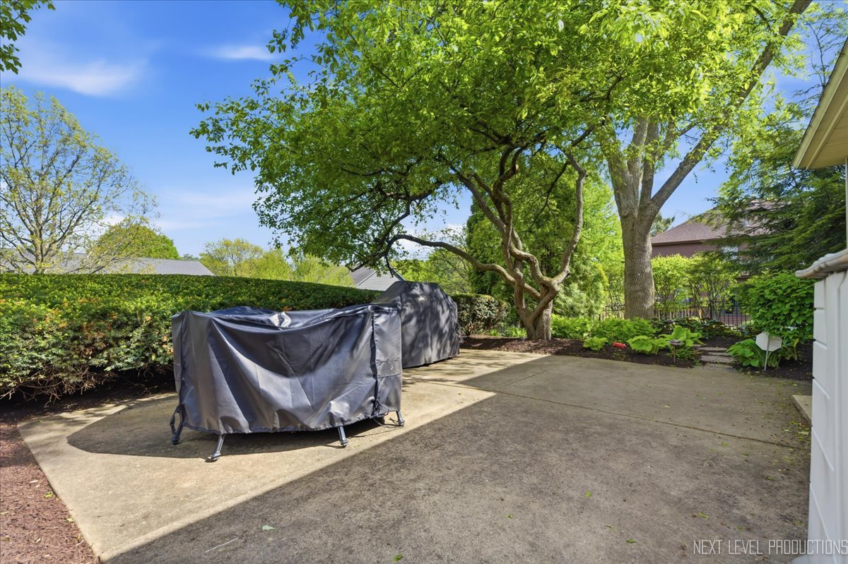 530 Olesen Drive Naperville IL 60540