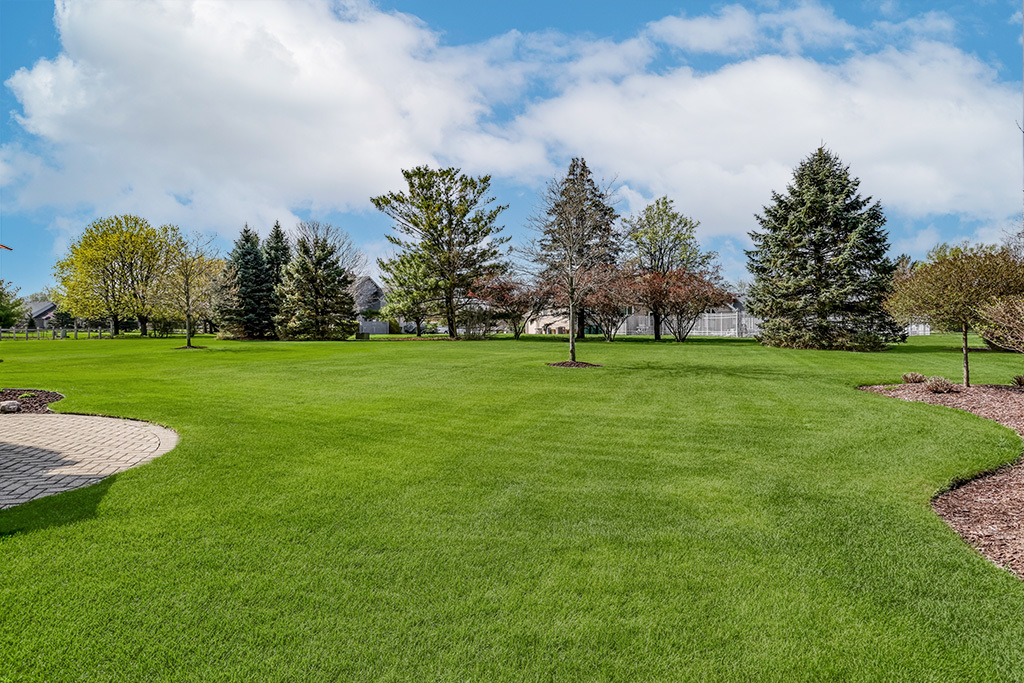 3204 Hickory Creek Drive New Lenox IL 60451