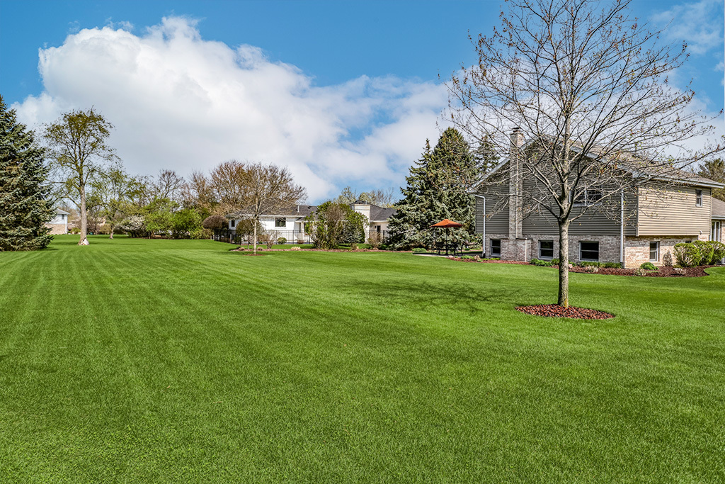 3204 Hickory Creek Drive New Lenox IL 60451