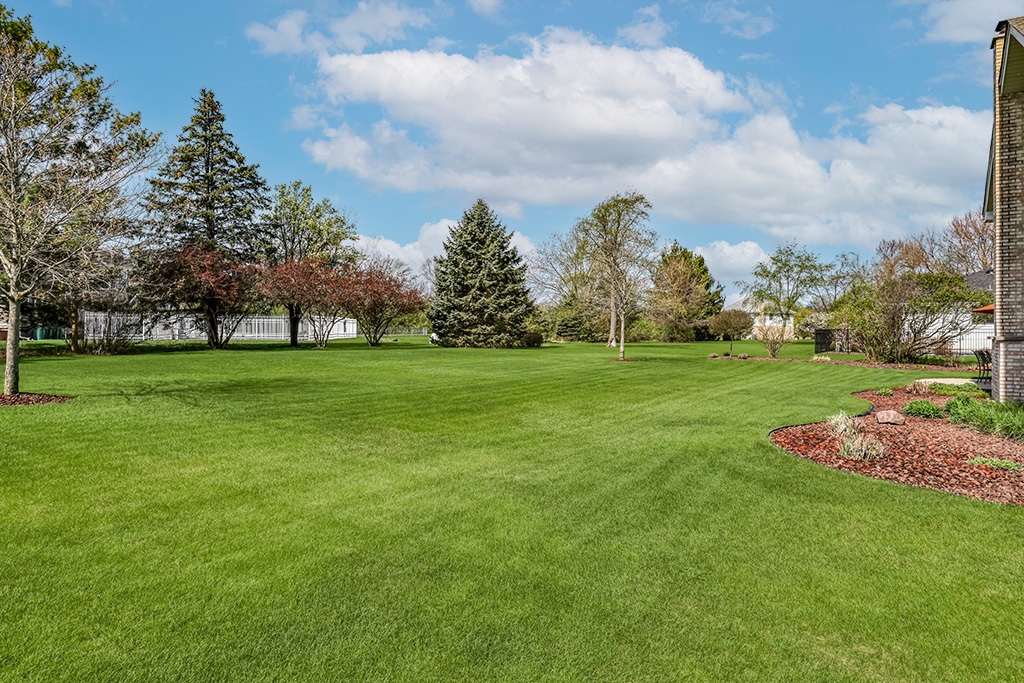 3204 Hickory Creek Drive New Lenox IL 60451