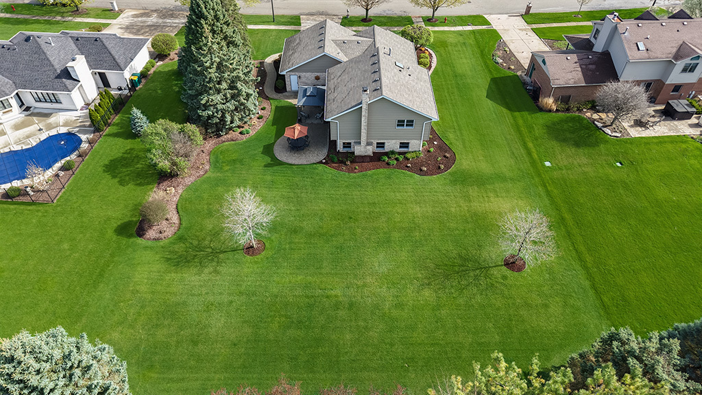3204 Hickory Creek Drive New Lenox IL 60451