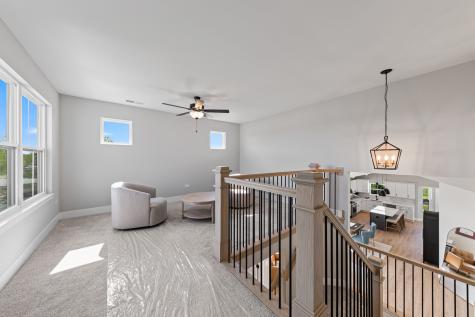 1768 Patoka Lane New Lenox IL 60451
