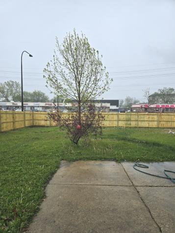 1469 William Clifford Lane Elk Grove Village IL 60007