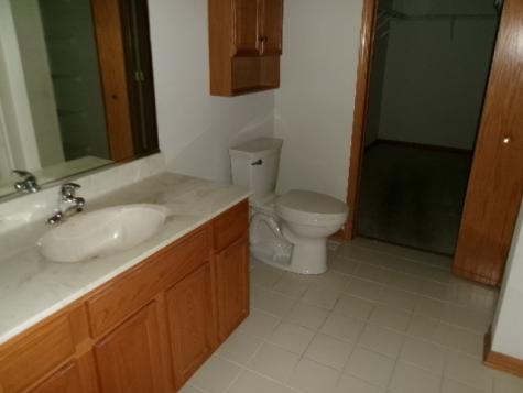 1785 Willow Circle Drive Crest Hill IL 60403