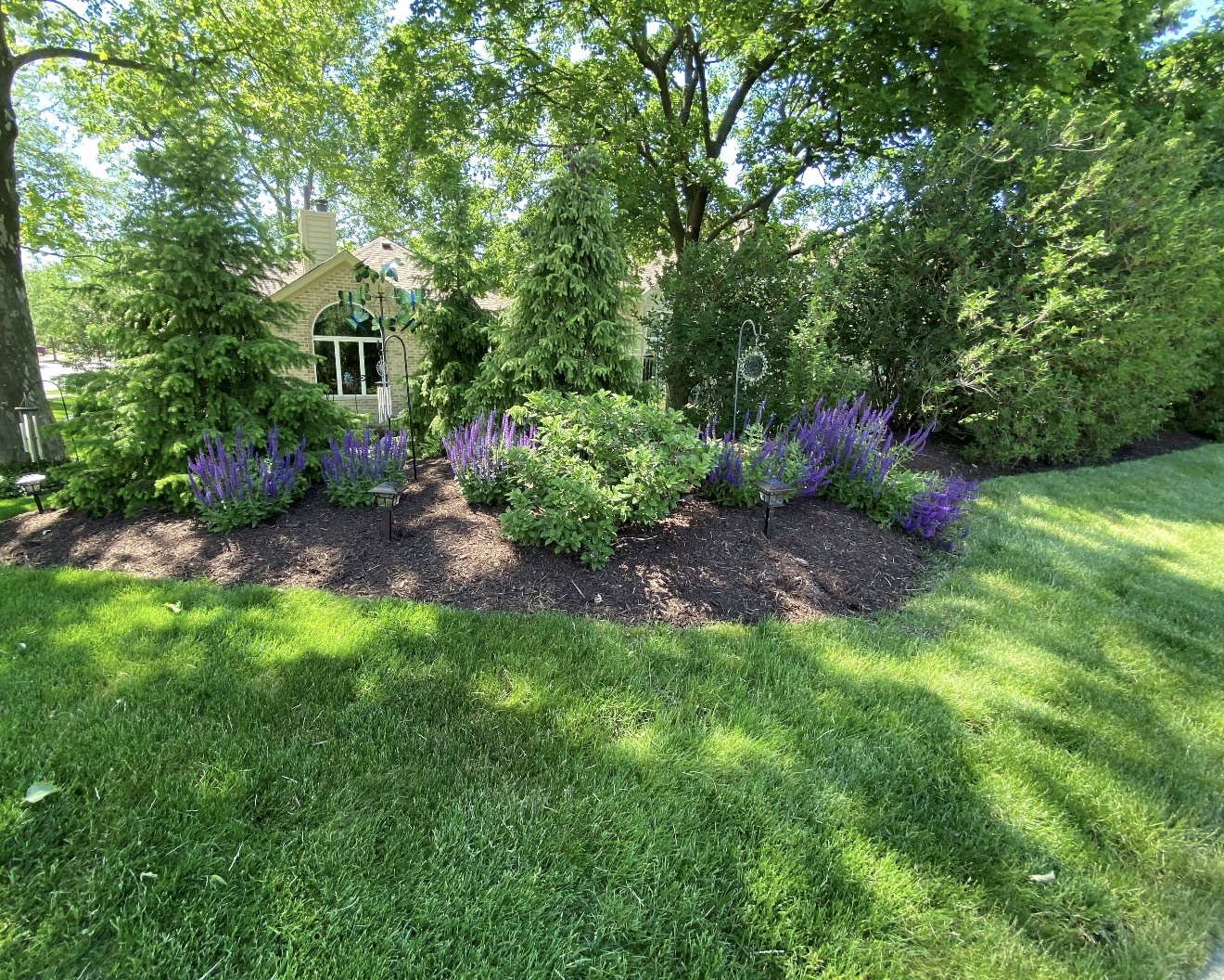 5513 Aspen Avenue Downers Grove IL 60515