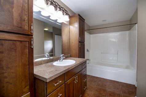 1123 Meadow Path Manteno IL 60950