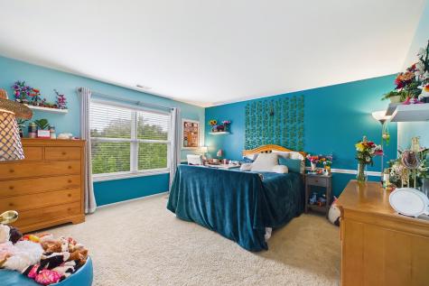 680 North Silver Leaf Lane Round Lake IL 60073
