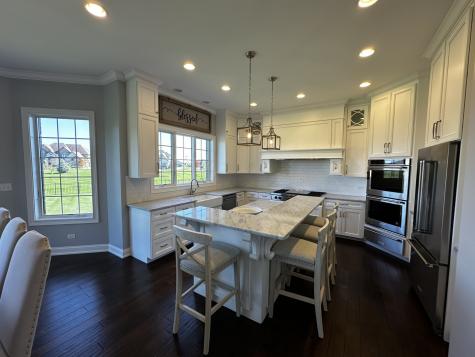 23241 Sunburst Point Frankfort IL 60423
