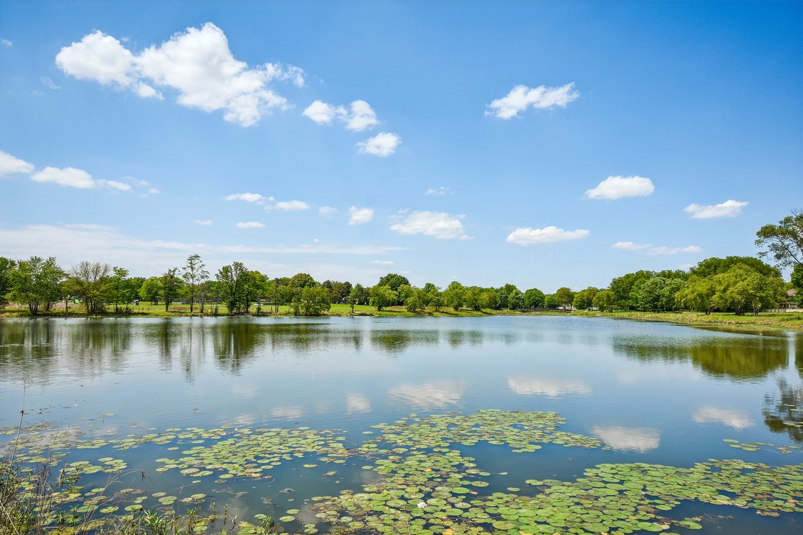 1507 Gardenside Court Naperville IL 60540