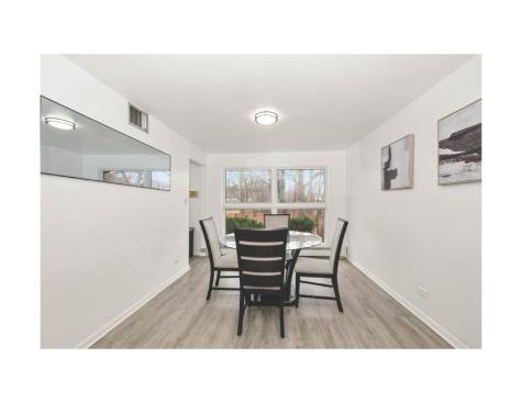 2337 Valley View Lane Park Forest IL 60466