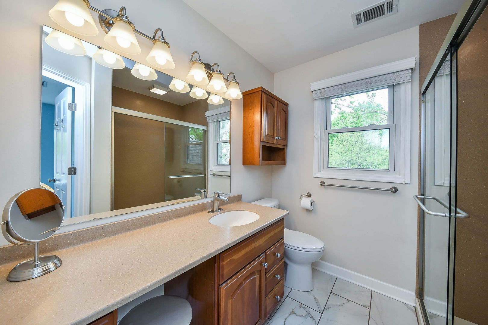 46 Sussex Court Naperville IL 60540
