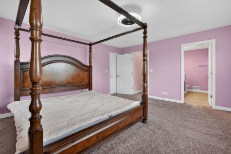 12807 Timber Wood Circle Plainfield IL 60585