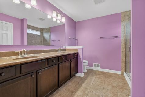 12807 Timber Wood Circle Plainfield IL 60585
