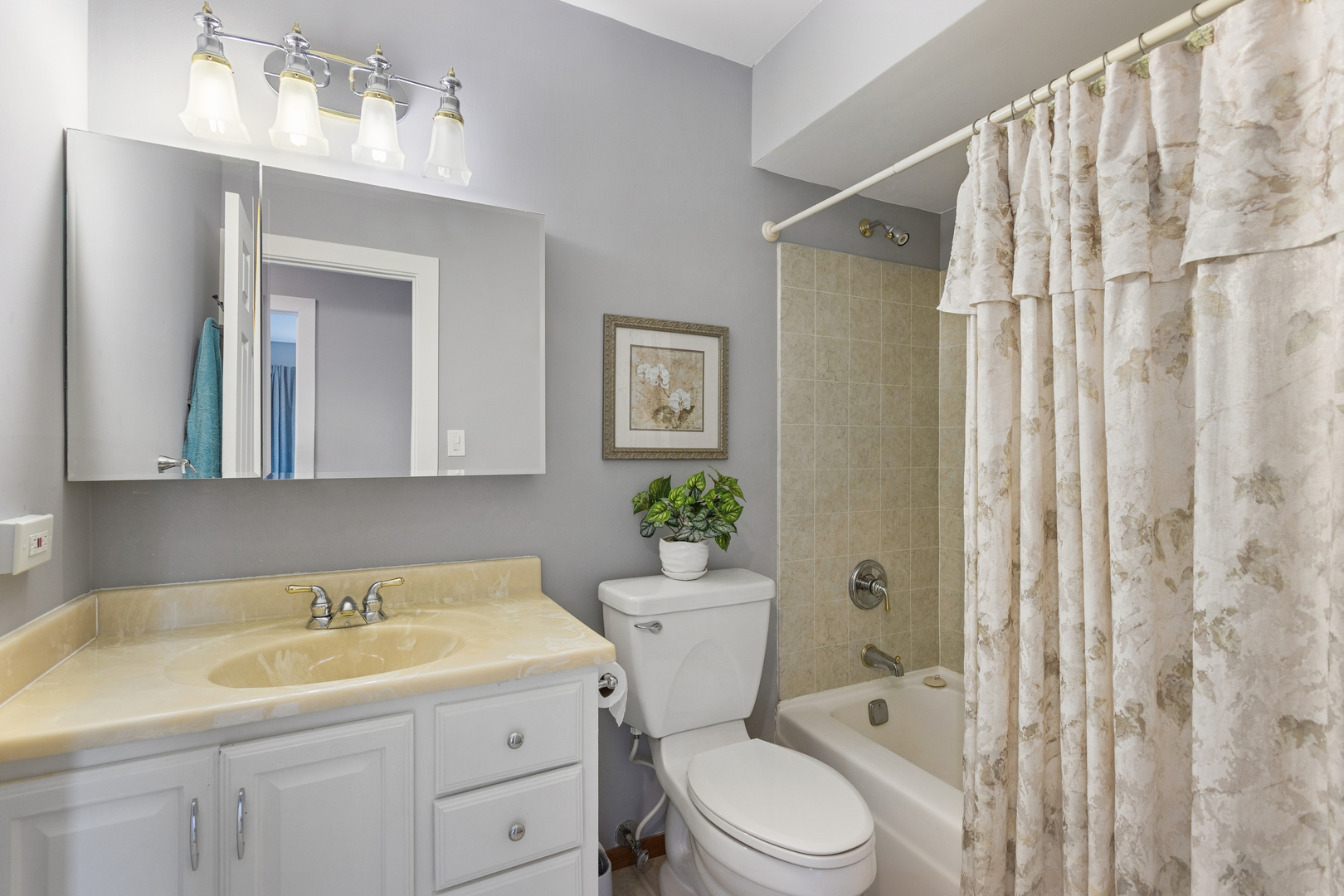 1012 Londonberry Court Bolingbrook IL 60440