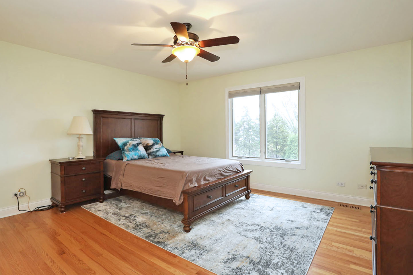 310 Jennifer Lane Roselle IL 60172