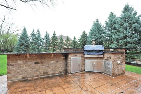 310 Jennifer Lane Roselle IL 60172
