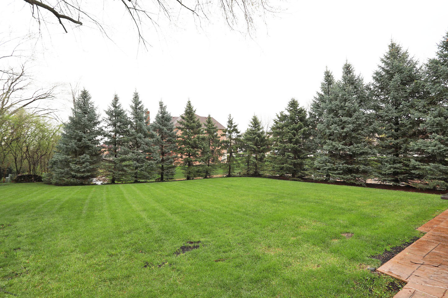 310 Jennifer Lane Roselle IL 60172