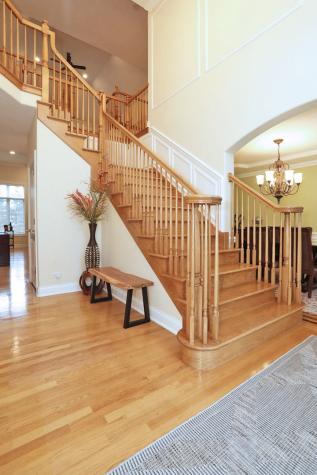 310 Jennifer Lane Roselle IL 60172
