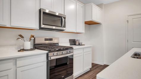 1155 Wood Lily Lane Bartlett IL 60103