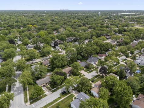251 North Boynton Drive Palatine IL 60074