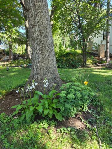 306 Woodlock Street Ingleside IL 60041