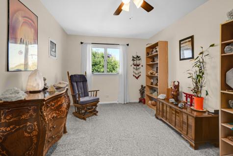 1042 Catalpa Court Beecher IL 60401