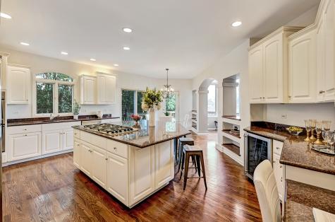 1187 Arborside Drive Aurora IL 60502