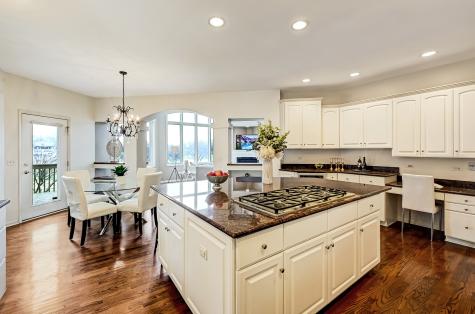 1187 Arborside Drive Aurora IL 60502