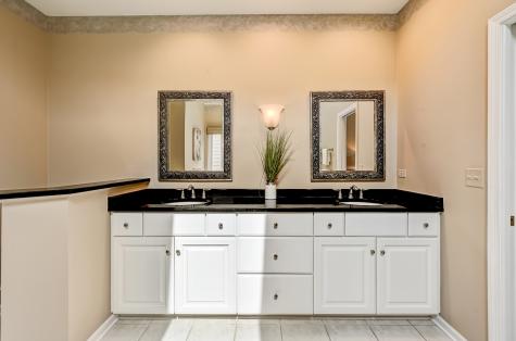 1187 Arborside Drive Aurora IL 60502