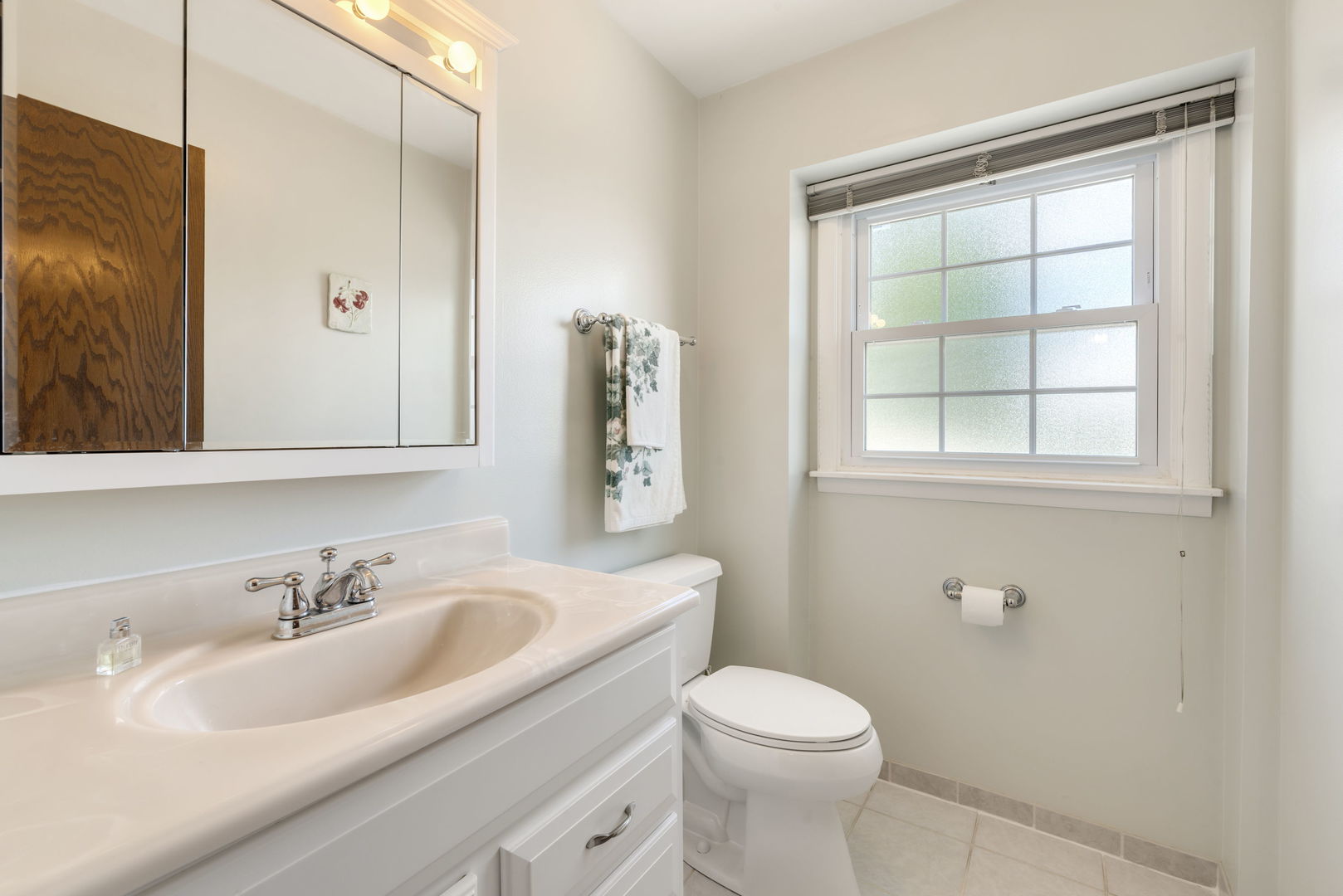65 Regent Drive Oak Brook IL 60523