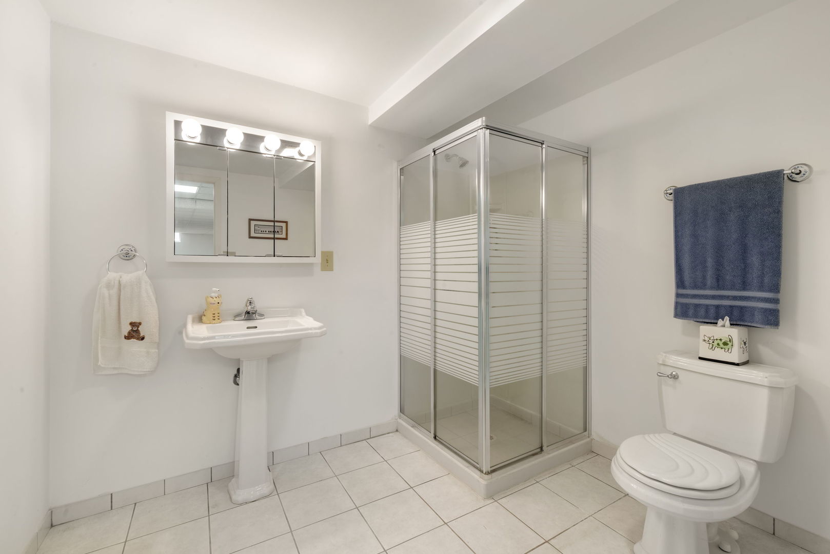 65 Regent Drive Oak Brook IL 60523
