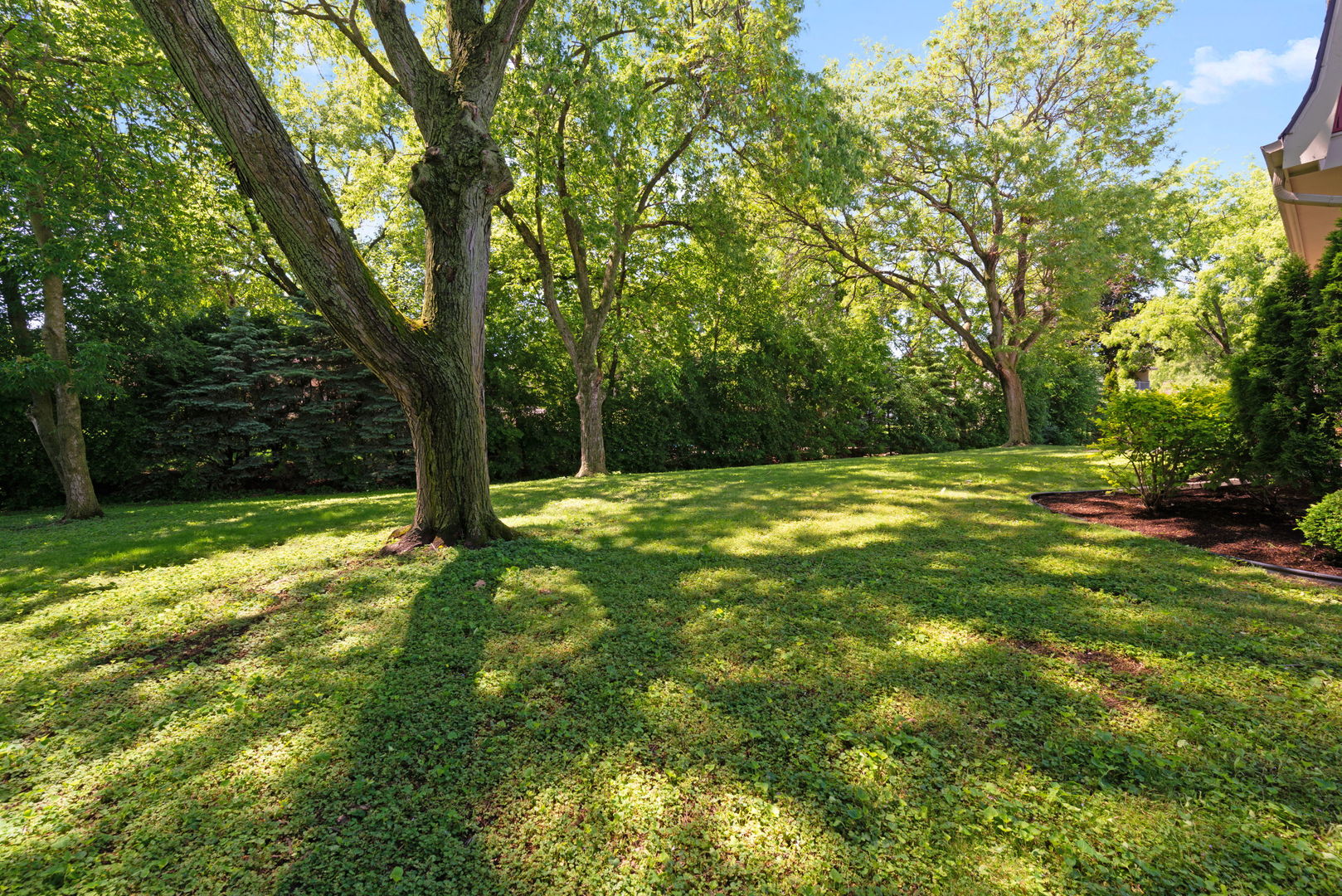 65 Regent Drive Oak Brook IL 60523