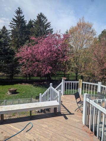 6 Crows Nest Court Third Lake IL 60030