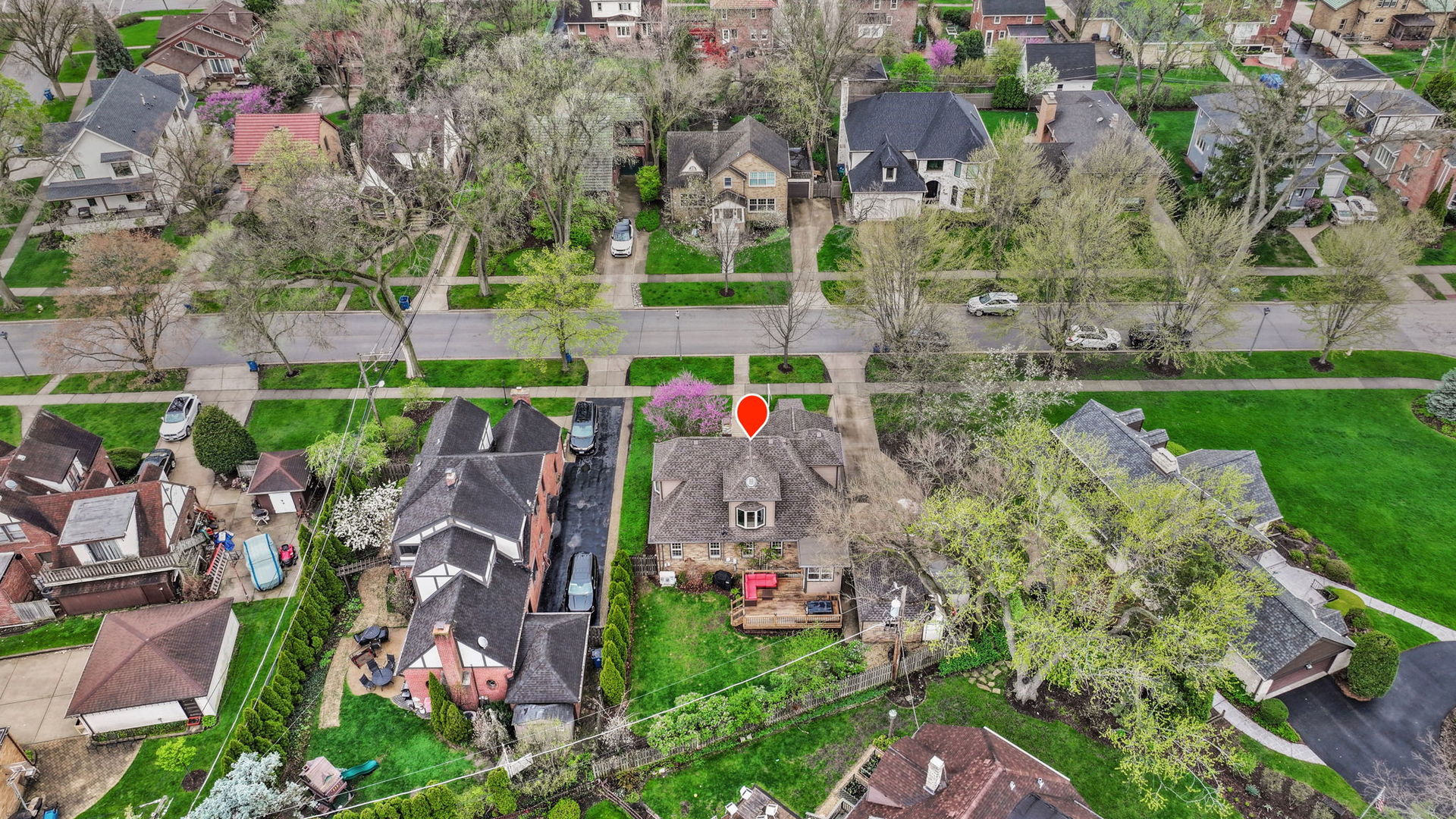 397 South Holly Avenue Elmhurst IL 60126