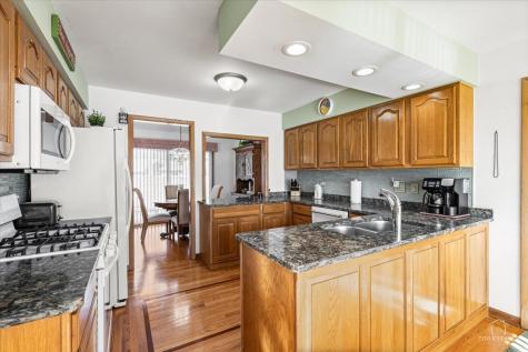 462 Mulberry Lane Wood Dale IL 60191
