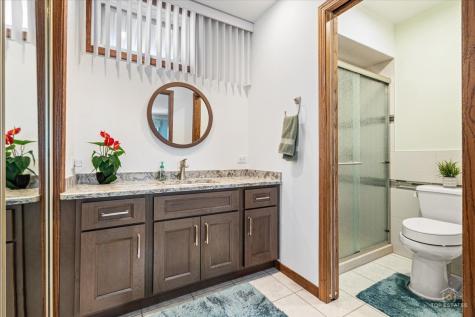 462 Mulberry Lane Wood Dale IL 60191