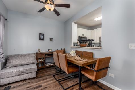 1138 Coneflower Court Minooka IL 60447