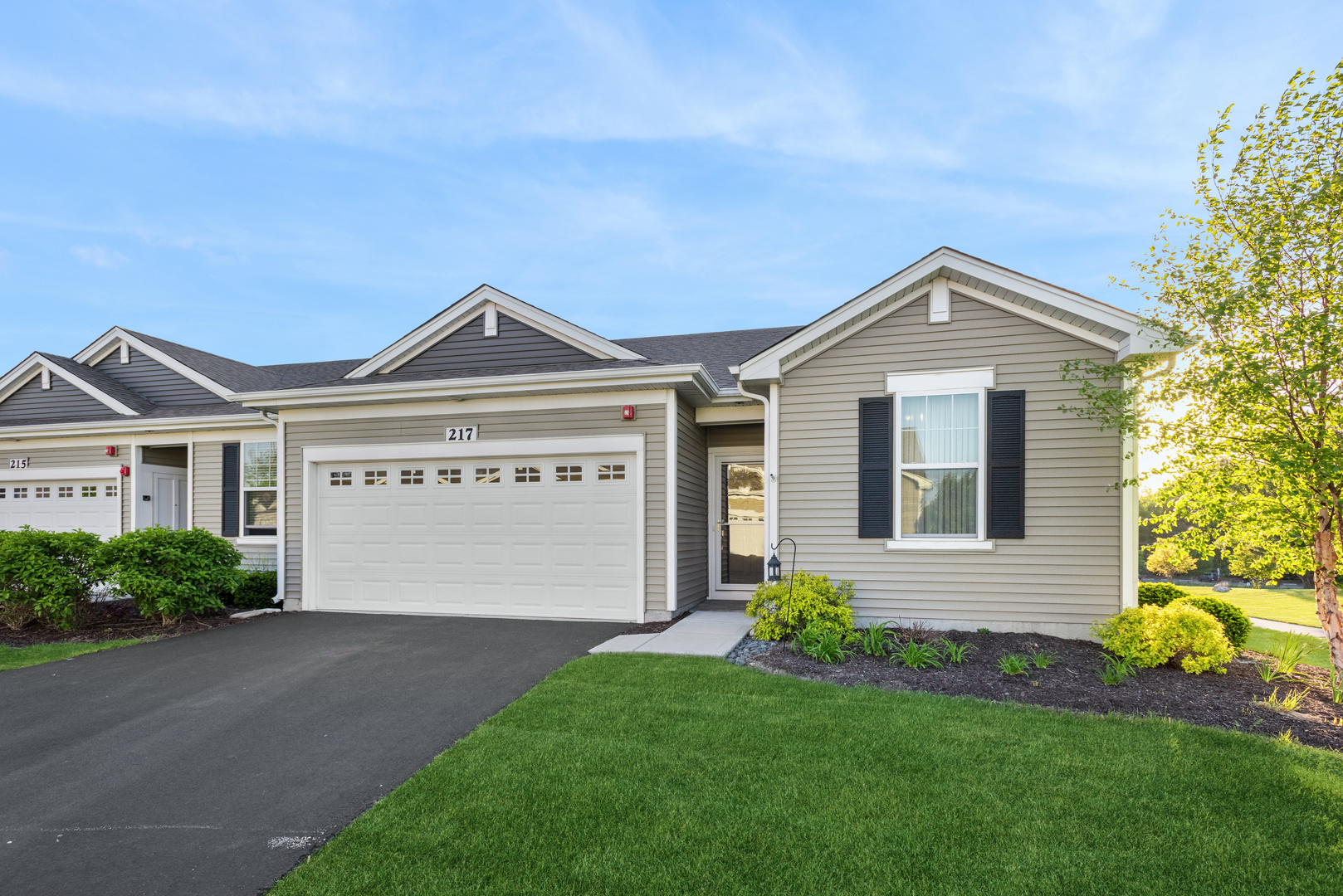 217 Sussex Court North Aurora IL 60542