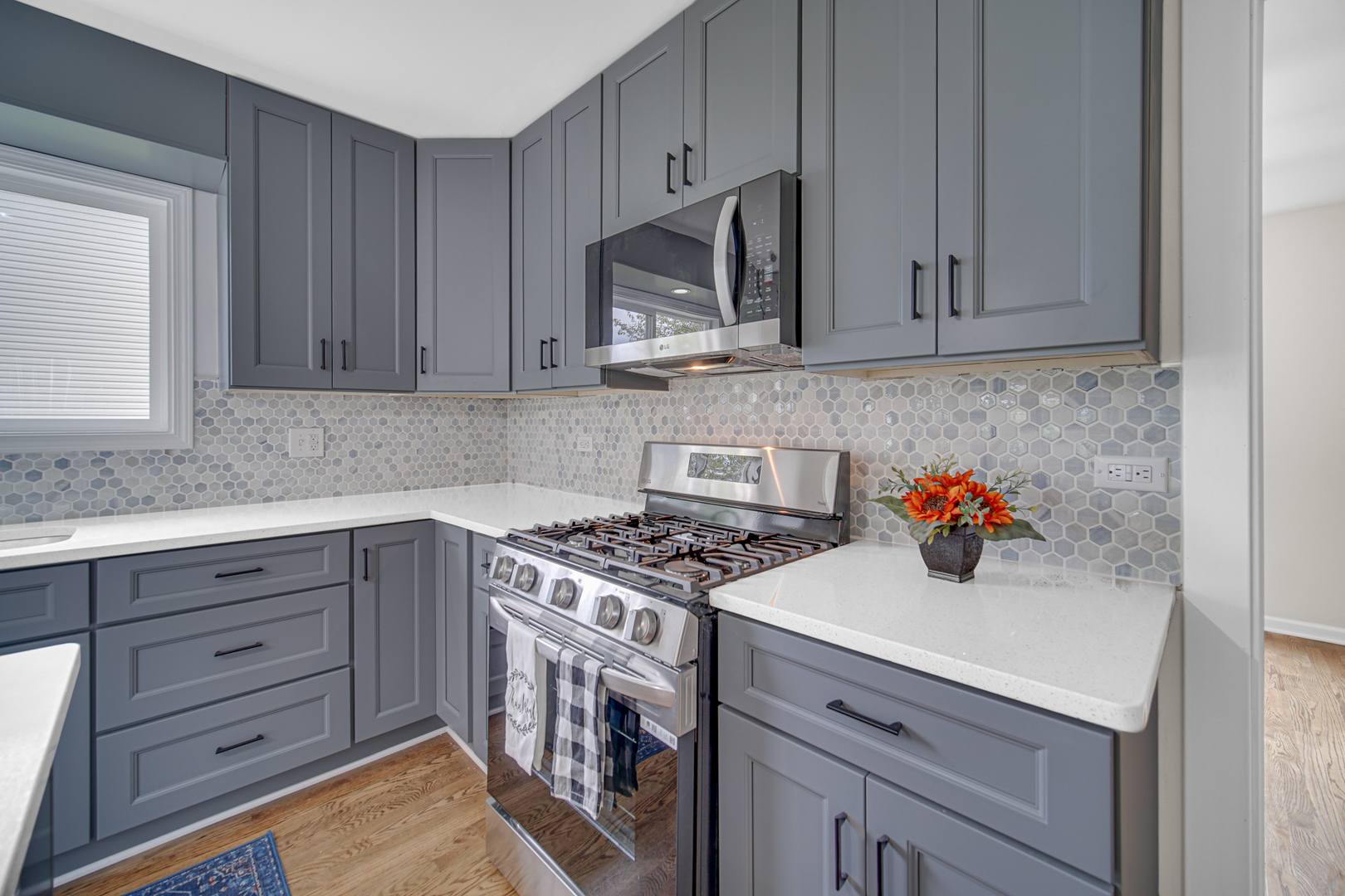 204 Butte View Drive Bolingbrook IL 60490