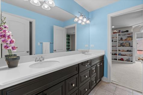 22322 North Prairie Court Kildeer IL 60047