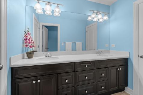 22322 North Prairie Court Kildeer IL 60047