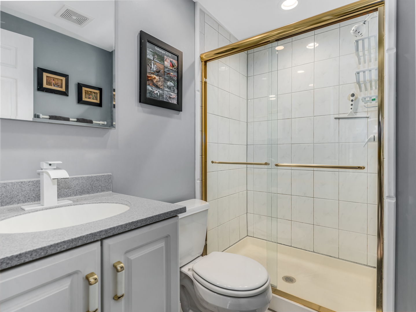 1813 Clyde Drive Naperville IL 60565