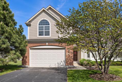 113 Valencia Parkway Gilberts IL 60136