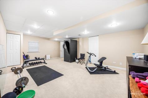 141 Partridge Court Grayslake IL 60030