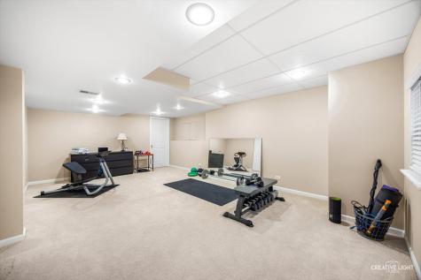 141 Partridge Court Grayslake IL 60030